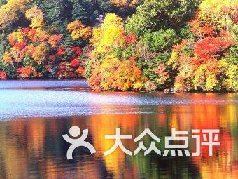 探索知识星球平台 | 太阳高度在地方时什么时候最大?专家分享精华